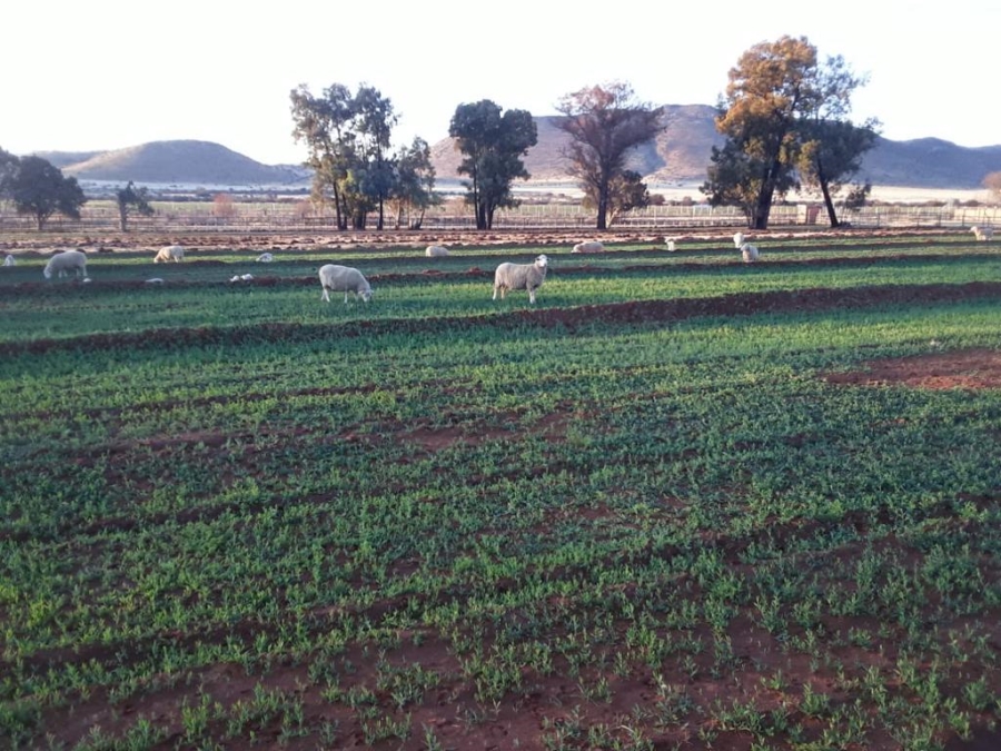 Commercial Property for Sale in Middelburg Rural Eastern Cape